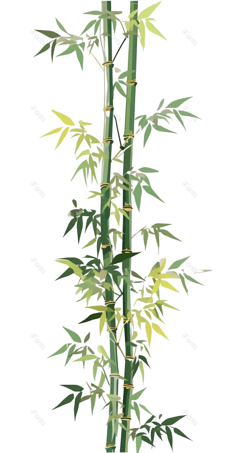 叶子图片,秋天元素,夏天PNG,传统免抠素材